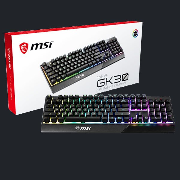 MSI Vigor GK30 RGB Kablolu Oyuncu Klavyesi